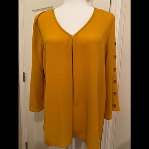 Spense NWT. Long Sleeve Blouse.